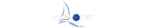 Logo Vision Marine