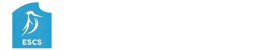 Logo Vision Marine