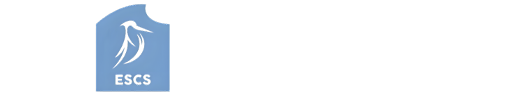 Electronic Service (Orlaco)