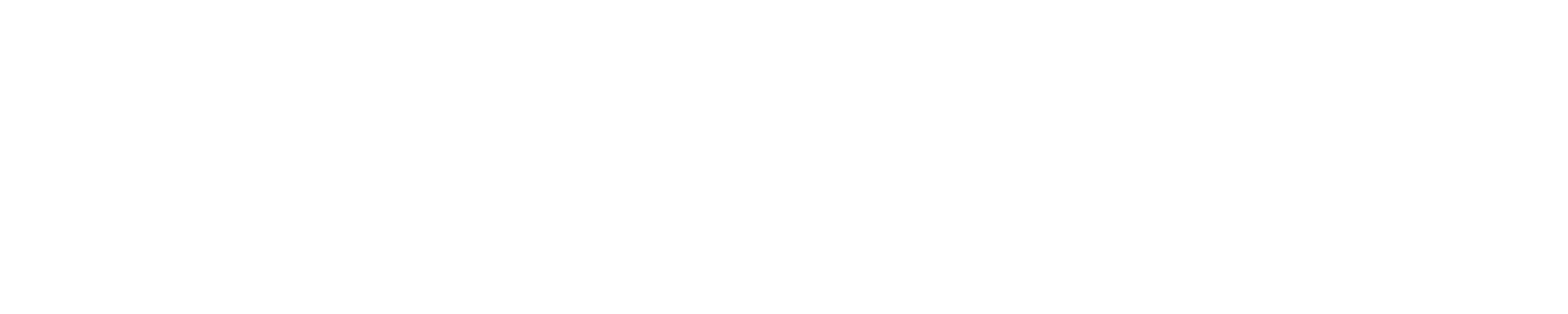 Logo Vision Marine